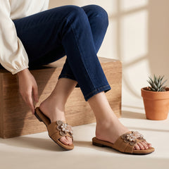 Fancy Slipper Fawn 0413800