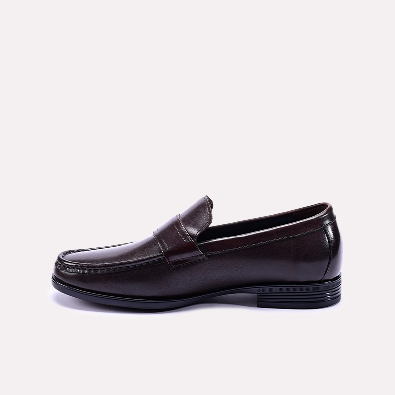 Loafer Shoes Brown 0130924