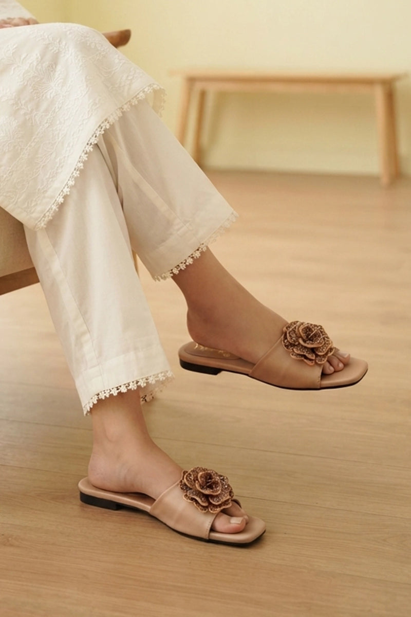 Fancy Slipper Fawn 0413852