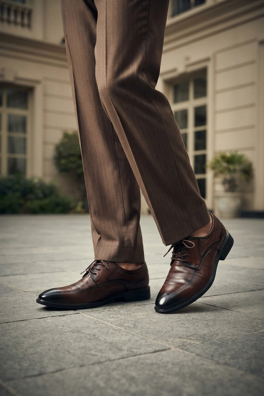 Formal Shoes 0111587 Brown