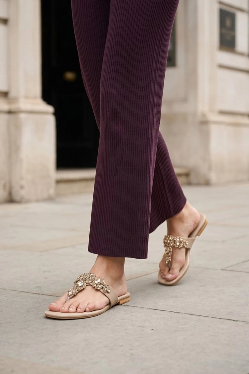 Fancy Slipper Fawn 0414018