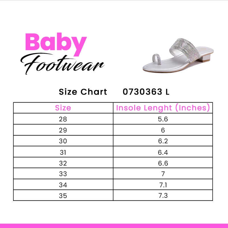 Silver Fancy Slipper 0730363