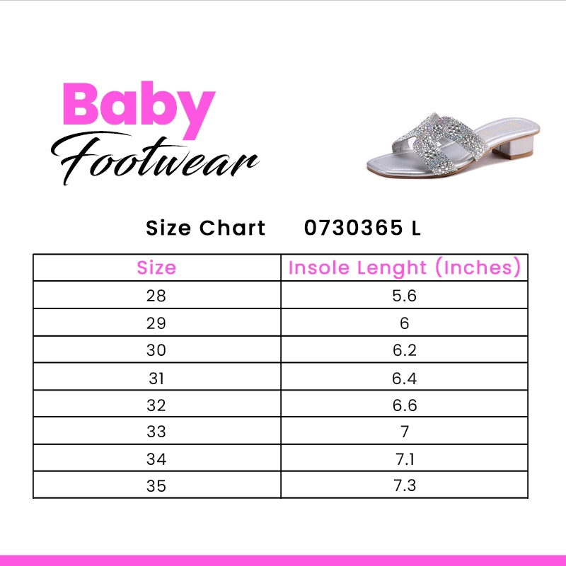 Silver Fancy Slipper 0730365
